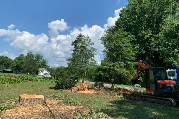 Riley's Tree Service and Cleanup's Other Services