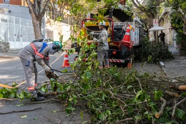 Storm Cleanup Services
