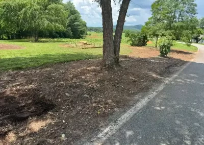 Top Local Tree Service